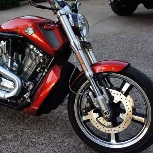 Meet your Posher, Giorgio - Picture 1 of 1